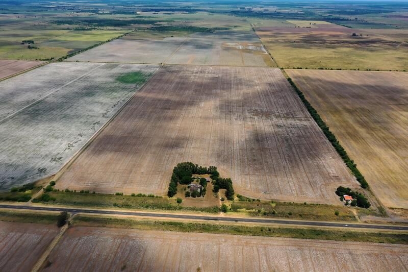Campo en Venta — Ruta 11 , Florencia, Santa Fe