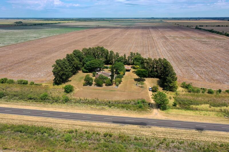 Campo en Venta — Ruta 11 , Florencia, Santa Fe