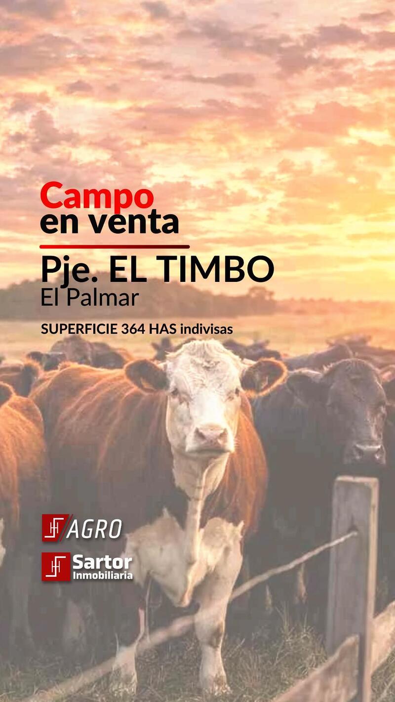 Campo en Venta — Acceso desde Ruta 11 camino rural. , Guadalupe Norte, Santa Fe