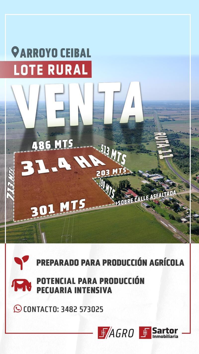 Campo en Venta —  , Arroyo Ceibal, Santa Fe