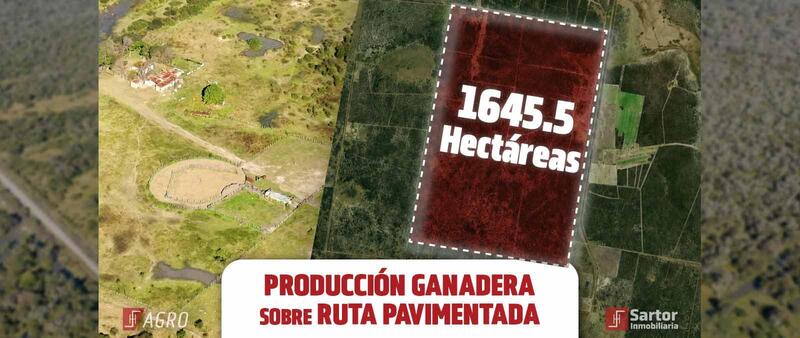 Campo en Venta — RP 3, Toba, Santa Fe